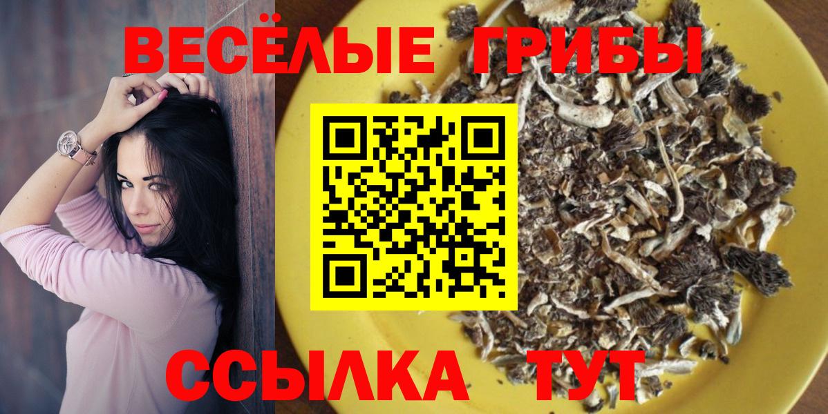 Галлюциногенные грибы Magic Shrooms  Псилоцибиновые грибы Psilocybine cubensis  Великие Луки  Вход с VPN 