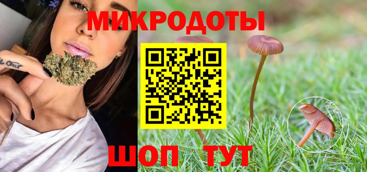 Галлюциногенные грибы мицелий Великие Луки